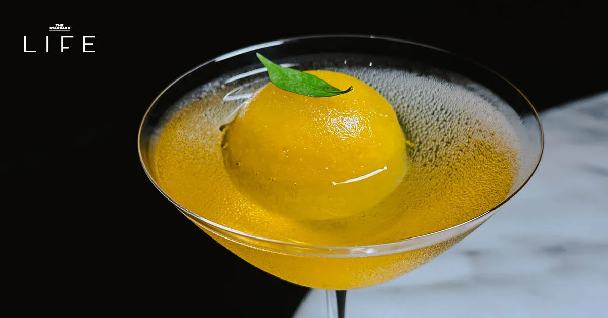 Sipping Tiger บาร์ซ่อนตัวในภูเก็ต กับค็อกเทล Zero-Waste จากพืชสมุนไพรไทย